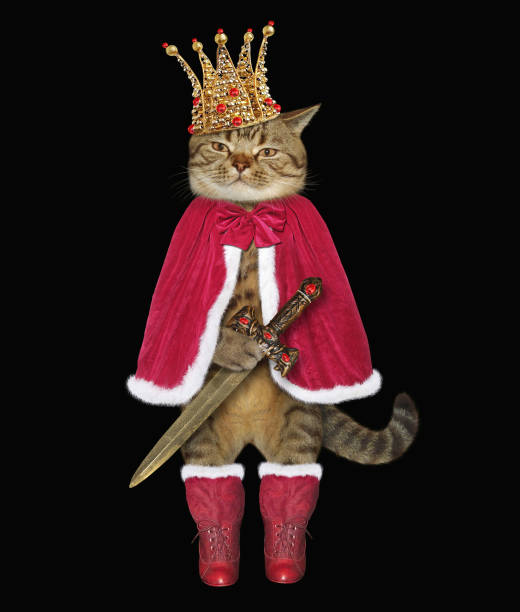 istock Cat king in the crown 957458318
