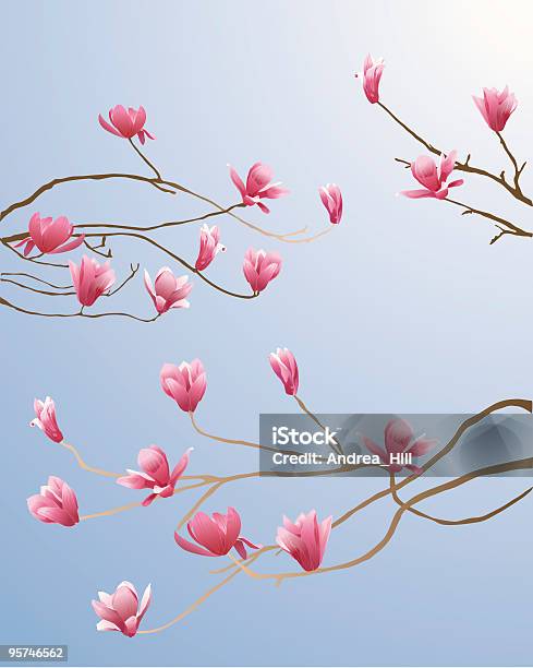 Arbre De Magnolia Vecteurs libres de droits et plus d'images vectorielles de Magnolia - Magnolia, Fleur - Flore, Printemps