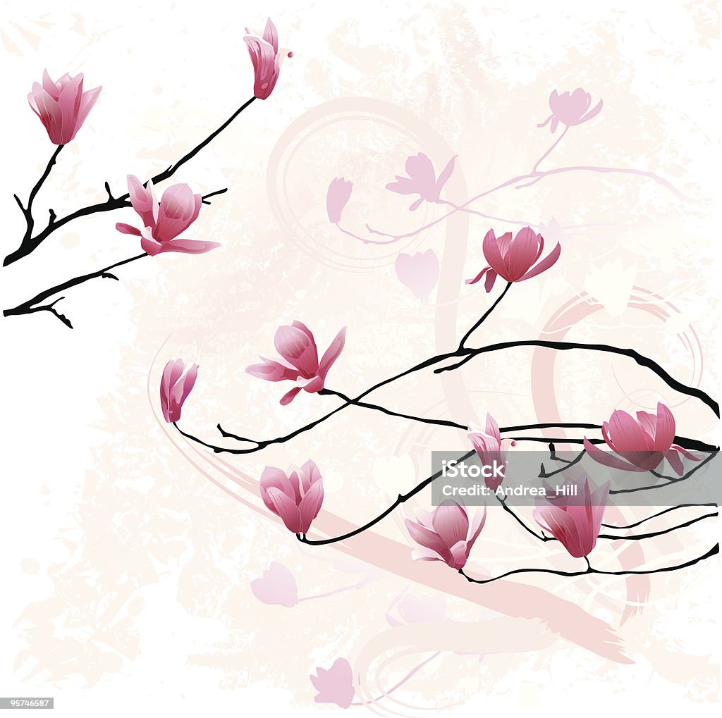 Magnolias de resorte - arte vectorial de Magnolia libre de derechos