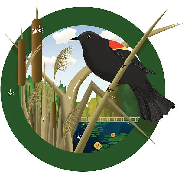 Vector illustration of Wetland Circle