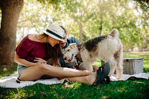 Young couple playing with their pet dog on picnic at park. Woman and woman having fun with dog at park.