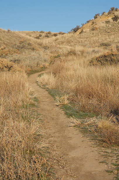 istock Boise Foothills trail 95746858