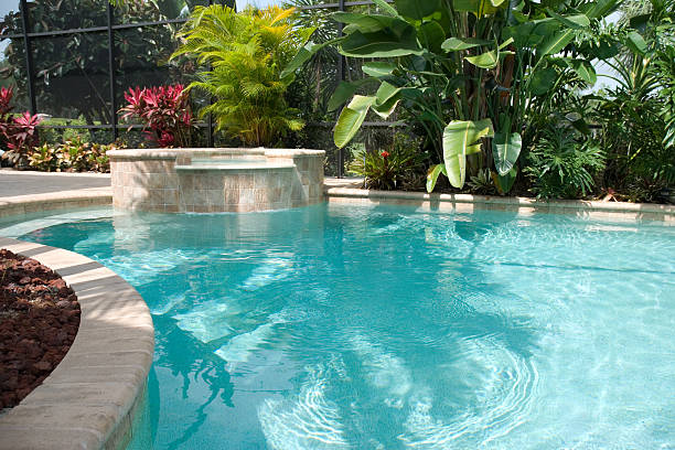 piscine avec cascade et bain à remous - tropical climate waterfall formal garden ornamental garden photos et images de collection