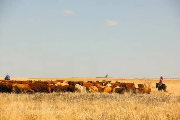 Photo of Rural lifestyle