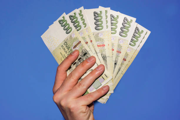 istock Hand holding green Czech banknotes 957474048