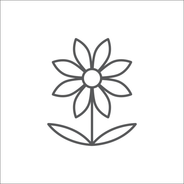 illustrazioni stock, clip art, cartoni animati e icone di tendenza di icona del contorno modificabile floreale camomilla - simbolo perfetto in pixel di una pianta simile a una margherita in stile artistico a linea sottile. - shorts