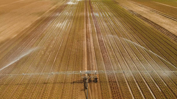 istock Irrigation system on agricultural land 957478466