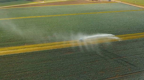 istock Irrigation system on agricultural land 957478546