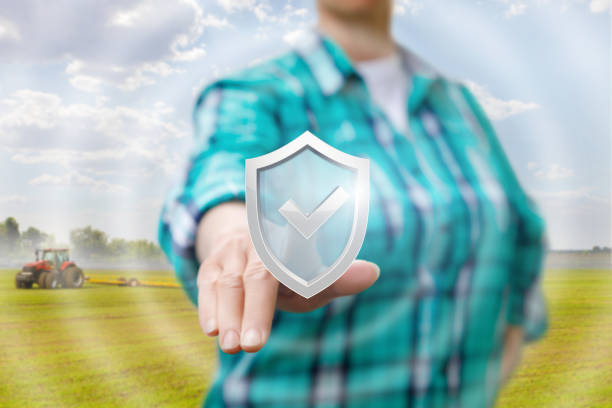 istock Farmer clicks on the icon of quality assurance. 957479580