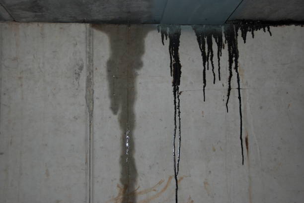 Leaking basement wall concrete stock photo