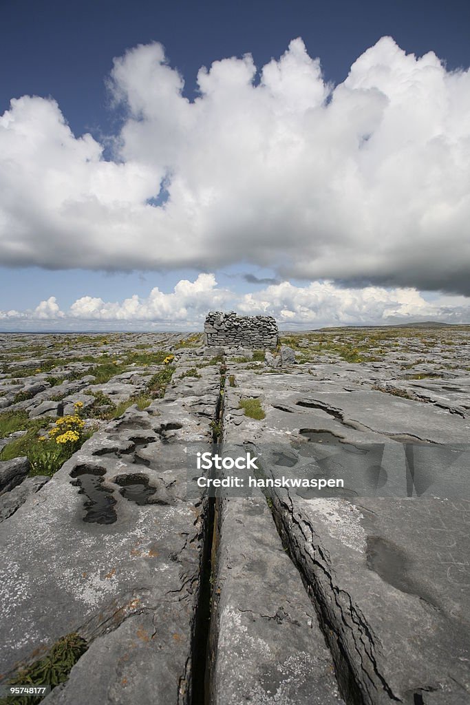 石灰岩のフィールドには、バレン高原、アイルランド - クレア州のロイヤリティフリーストックフォト