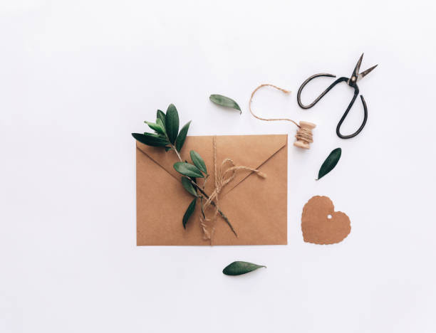 istock Kraft envelope invitation. Letter with olive branch over white background. Flat lay, top view 957482872