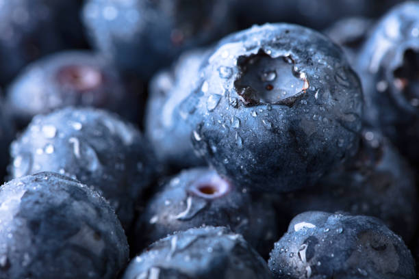 istock Ripe and juicy fresh picked blueberries closeup. 957484020