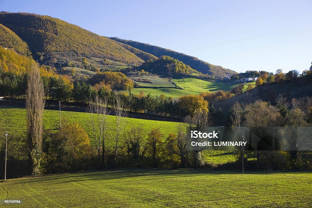 Paisaje Rural - Foto de stock de Actividad libre de derechos