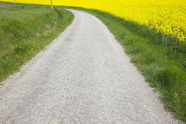 istock Road to a rural landscape 95749197