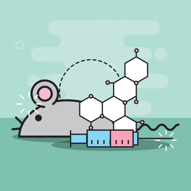 Lab Mouse Graphics White Mice Lab Illustrations, Royalty-Free Vector Graphics & Clip Art ...