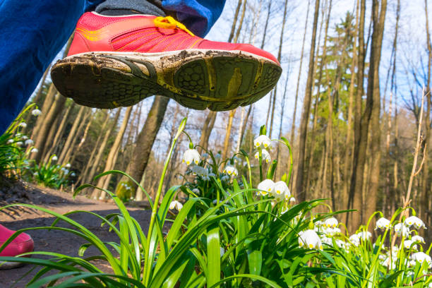 istock Shoe treading on a flower in grass 957495246