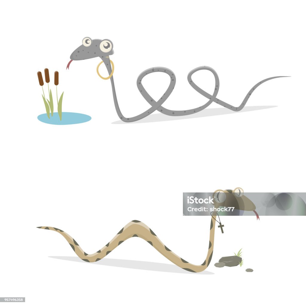 funny german grass snake and adder comparison Adder stock vector