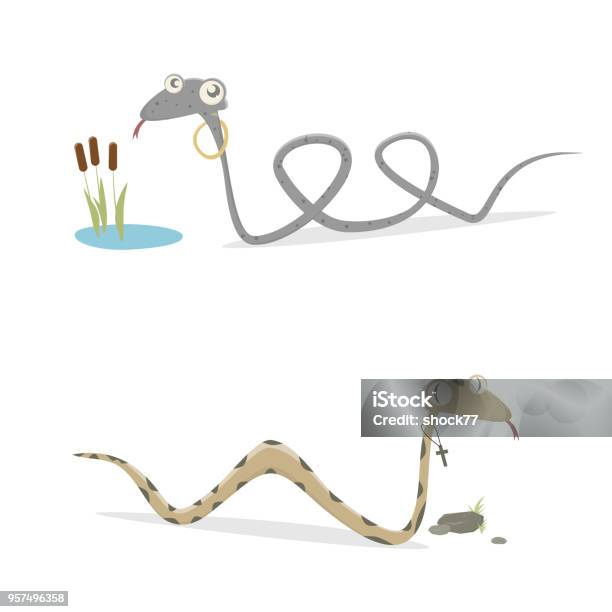 Funny German Grass Snake And Adder Comparison Stock Illustration - Download Image Now - Adder, Snake, Animal