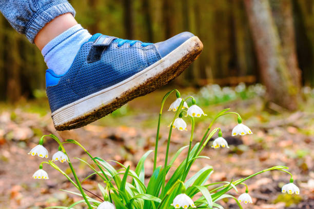 istock Shoe treading on a flower in grass 957497108