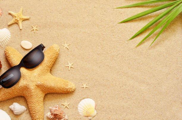 istock Funny starfish and seashells on the summer beach with sand 957499550