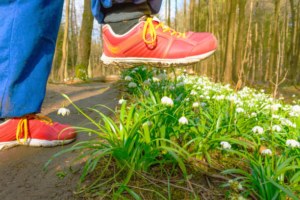 istock Shoe treading on a flower in grass 957499802