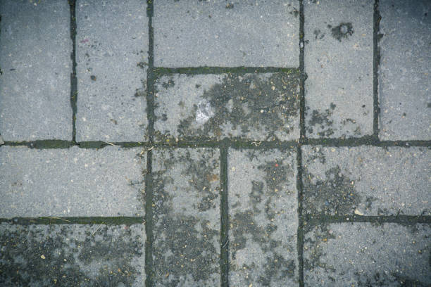 istock Decorative paving slabs. Exterior finishing. 957502558