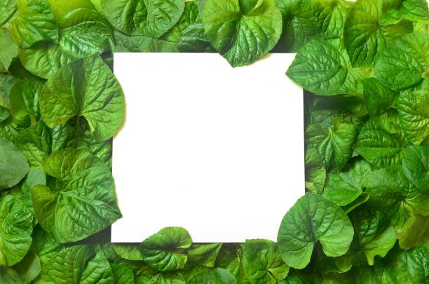 istock Creative layout made of leaves with paper card note. Flat lay. Nature concept 957504316
