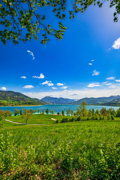 panoramiczny widok na górskie jezioro (hdri) - lake tegernsee zdjęcia i obrazy z banku zdjęć