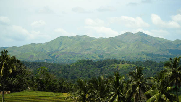 Vew Mountains with rainforest covered with green vegetation and trees on the tropical island, landscape. Mountains and hills with wild forest, sky clouds. Hillside rainforest and jungle. Philippines, Bohol .