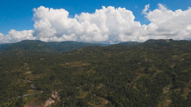 istock Mountains with tropical forest. Philippines Cebu island 957520030