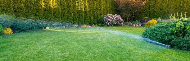 istock Irrigation of the green grass with sprinkler system. 957541302