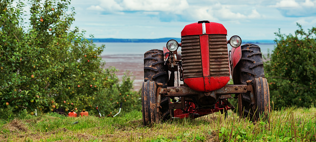 Plowed field by tractor in black soil on open countryside nature, tractor in plowed field, soil to growing tasty vegetables, organic plowed field under the clean dark sky is natural soil for tractor