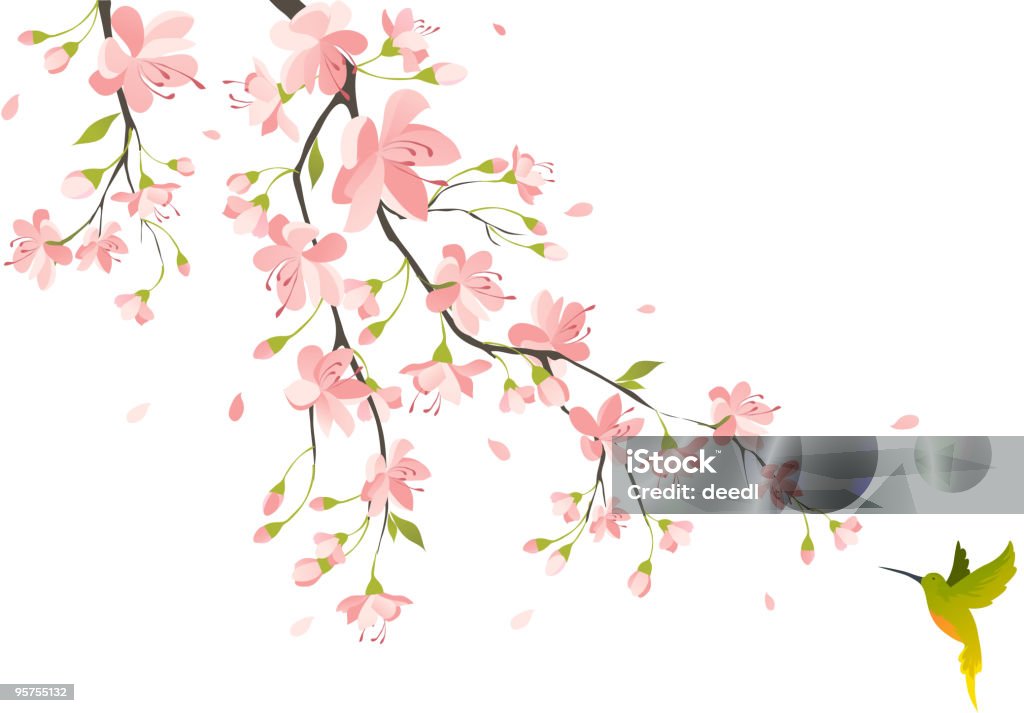 Cherry blossom  Flower stock vector