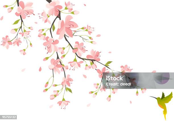 Cherry Blossom Stock Illustration - Download Image Now - Flower, Hummingbird, Springtime