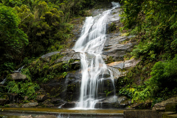cachoeira do rio de janeiro na floresta da tijuca - tropical rainforest tropical climate waterfall landscape - fotografias e filmes do acervo