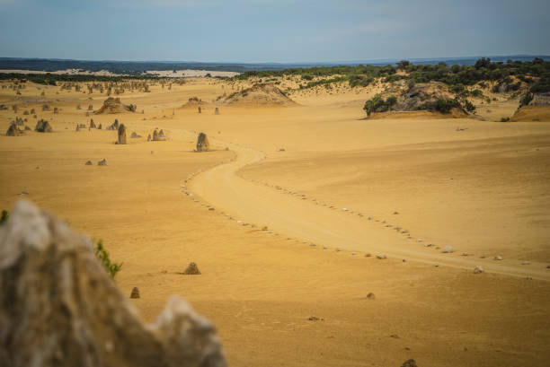 пустыня пиннакнакс - australia desert pinnacle stone стоковые фото и изображения