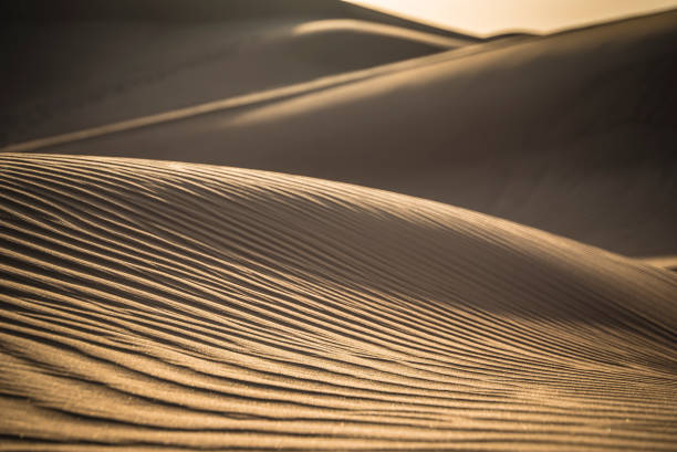 safari nel deserto di dubai - united arab emirates liwa desert saudi arabia arabia foto e immagini stock