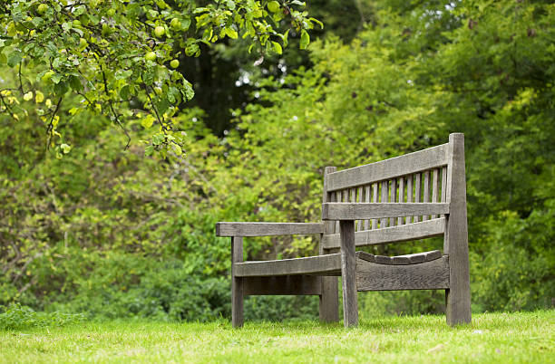 istock wooden bench in a green park 95756163