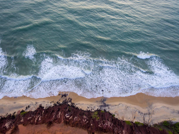 istock Waves of the Pipa Beach 957563890