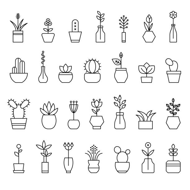 illustrations, cliparts, dessins animés et icônes de collection de fleurs maison - cache pot