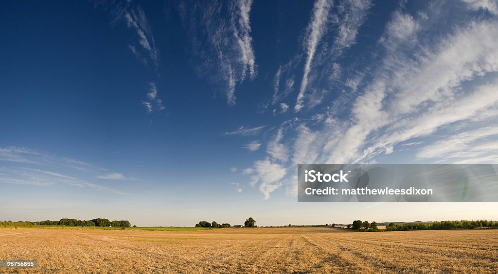 Grande paisagem rural - Foto de stock de Agricultura royalty-free