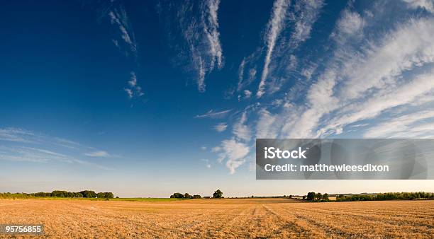 Foto de Grande Paisagem Rural e mais fotos de stock de Agricultura - Agricultura, Azul, Campo