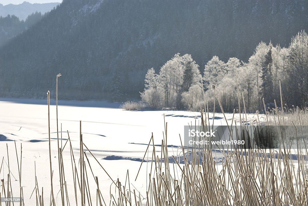 Gefrorener See im winter - Lizenzfrei Baum Stock-Foto