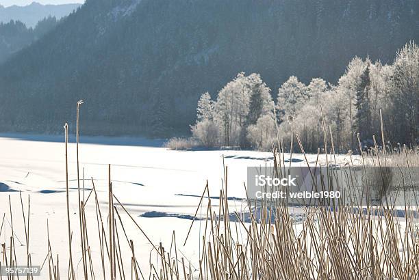 Gefrorener See Im Winter Stockfoto und mehr Bilder von Baum - Baum, Bildhintergrund, Blau