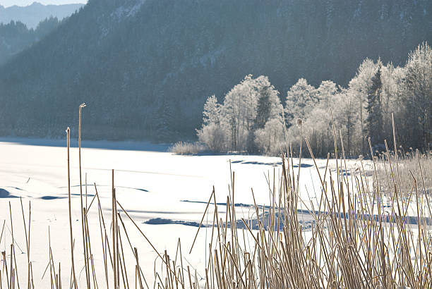 istock Frozen Lake in the winter 95757139