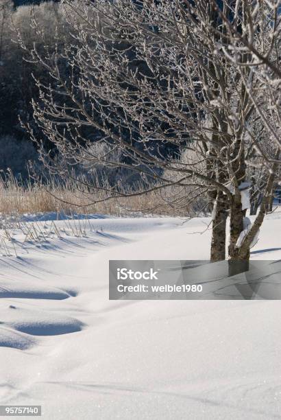 Winterlandschaft Stockfoto und mehr Bilder von Ast - Pflanzenbestandteil - Ast - Pflanzenbestandteil, Baum, Berg