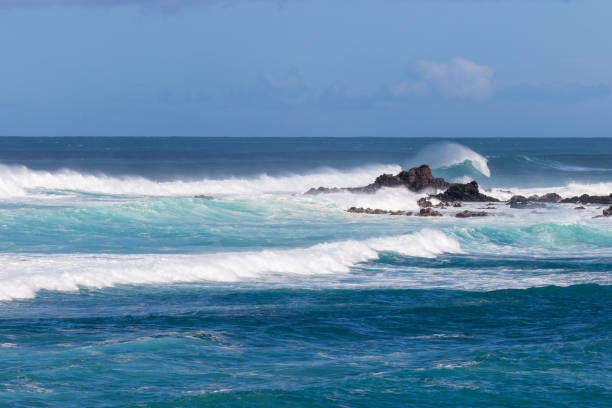 istock Waves Crashing the Maui Coastline 957576402