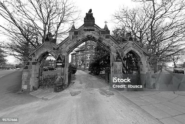 Photo libre de droit de Effrayant Noir Et Blanc Grand Angle banque d'images et plus d'images libres de droit de Angleterre - Angleterre, Arbre, Branche - Partie d'une plante