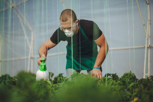istock Man spraying plants on farm 957579226